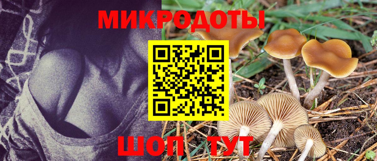 Галлюциногенные грибы MAGIC MUSHROOMS Ейск